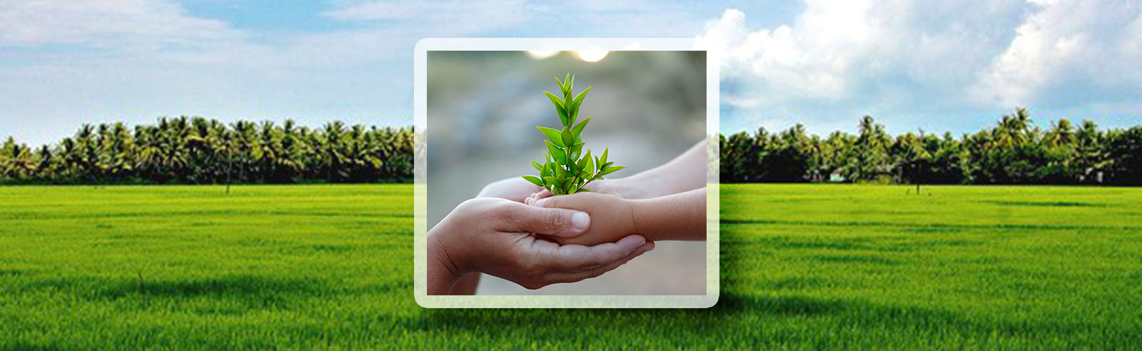 Customised ERP Solutions